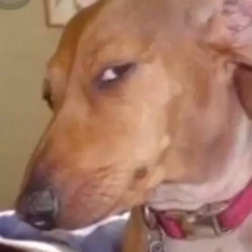 fight people haha (for qzeq)