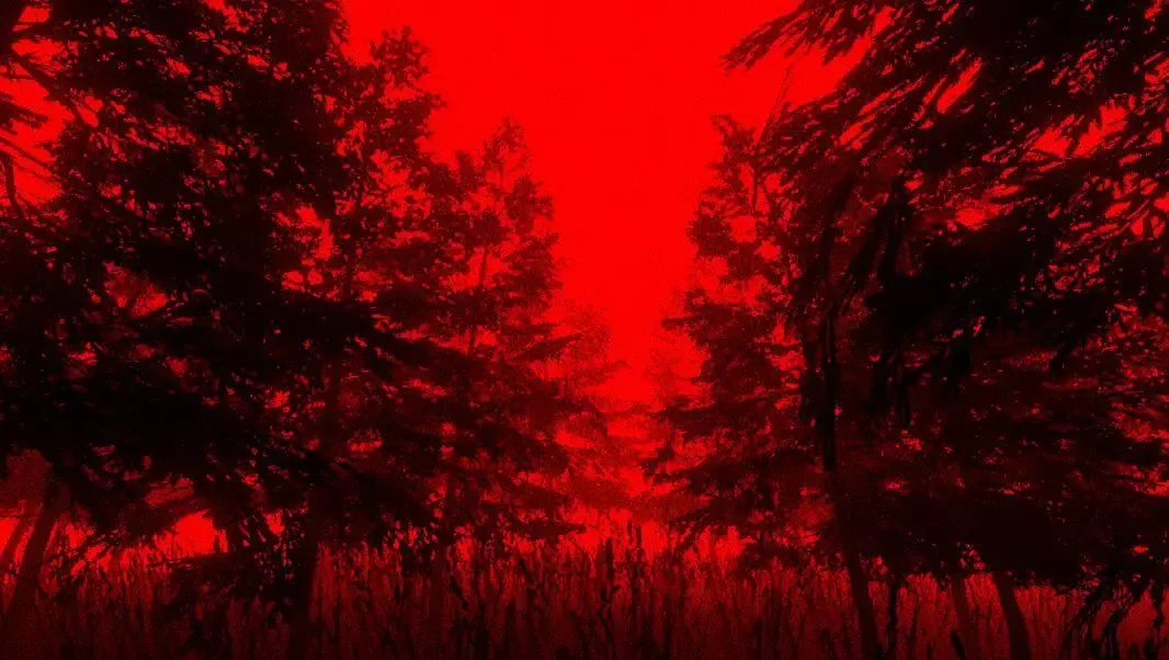 Project 404 stories: forest(beta)