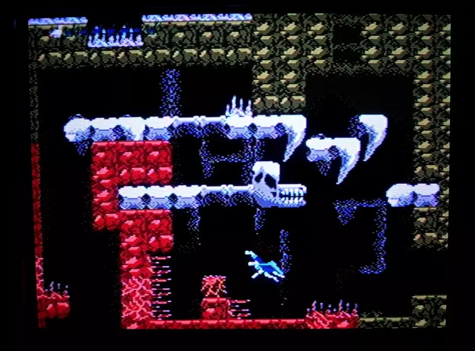 -[NES] Total Extinction-游戏截图-好玩游戏库