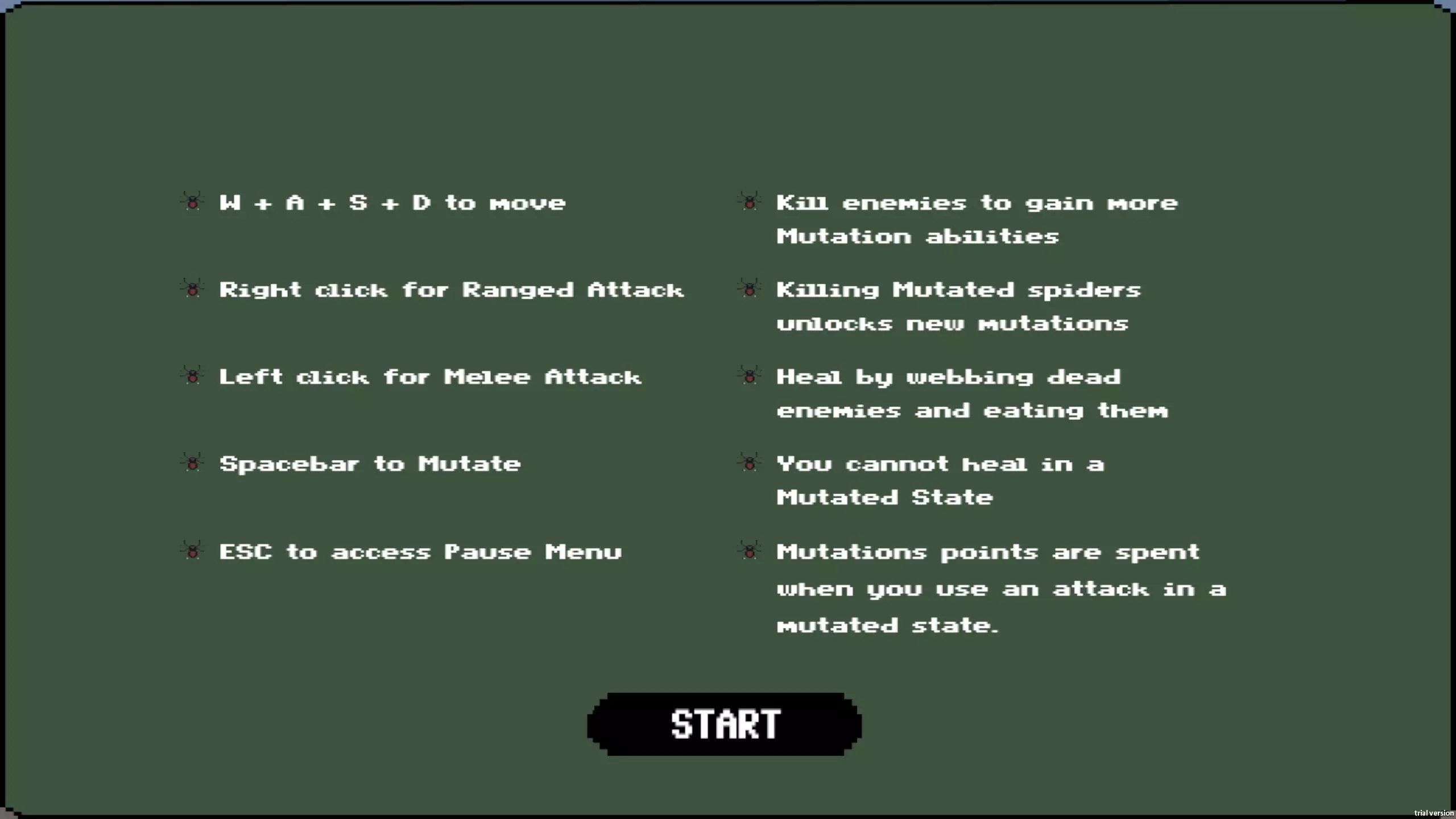 Aracnight (daisyrincon)