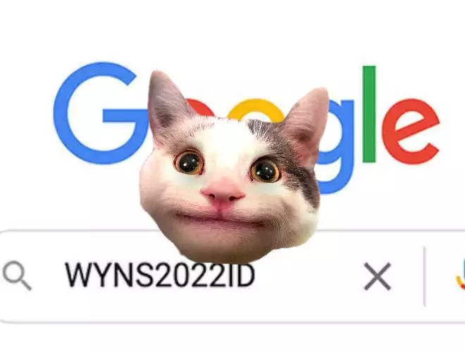 WYNS2022ID – The Game! (Beluga the cat)