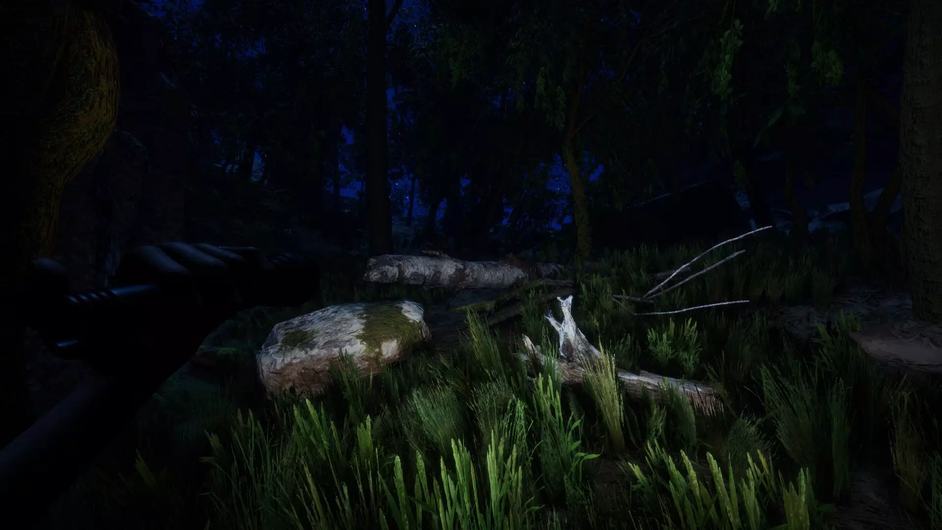 -Forest-游戏截图-好玩游戏库