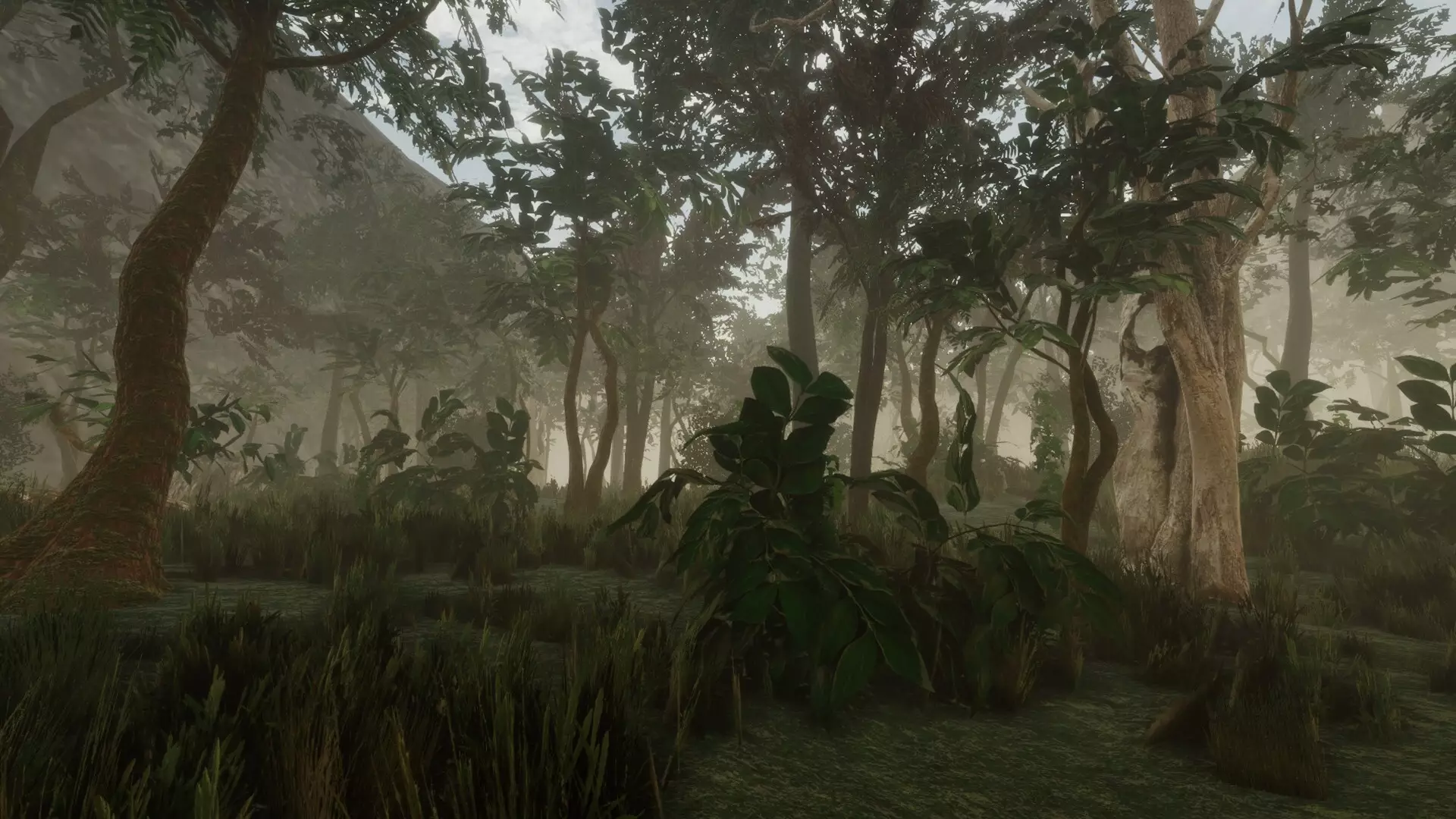 -Forest-游戏截图-好玩游戏库