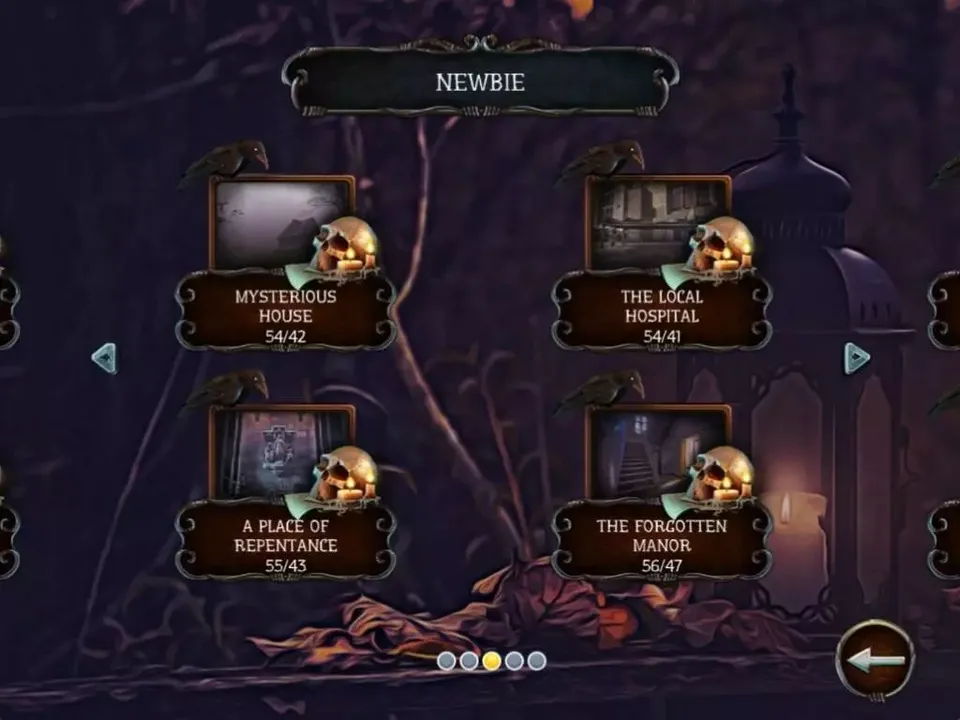 -Mystery Solitaire. The Black Raven 2-游戏截图-好玩游戏库