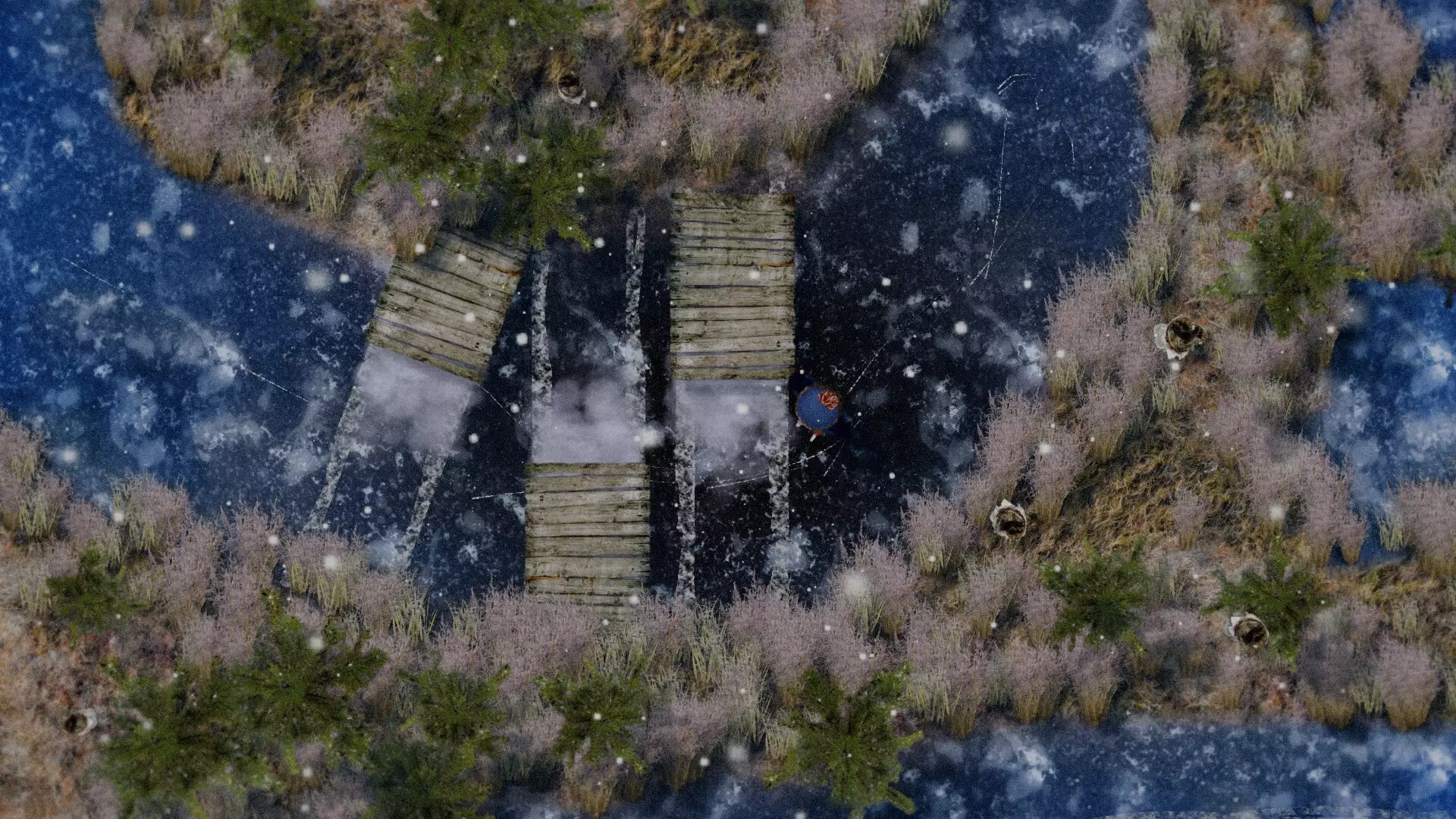 How I learned to Skate