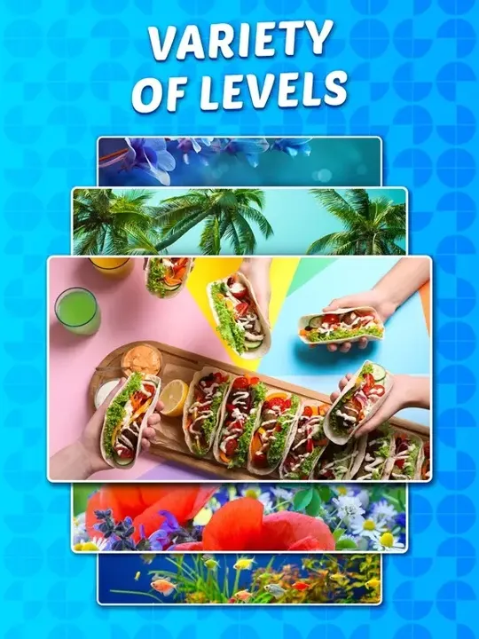 -Find differences - brain game-游戏截图-好玩游戏库