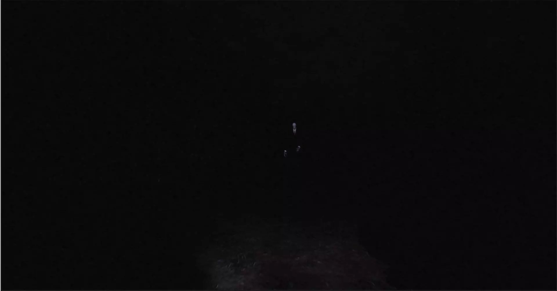 -Slenderman The eight pages RTX-游戏截图-好玩游戏库