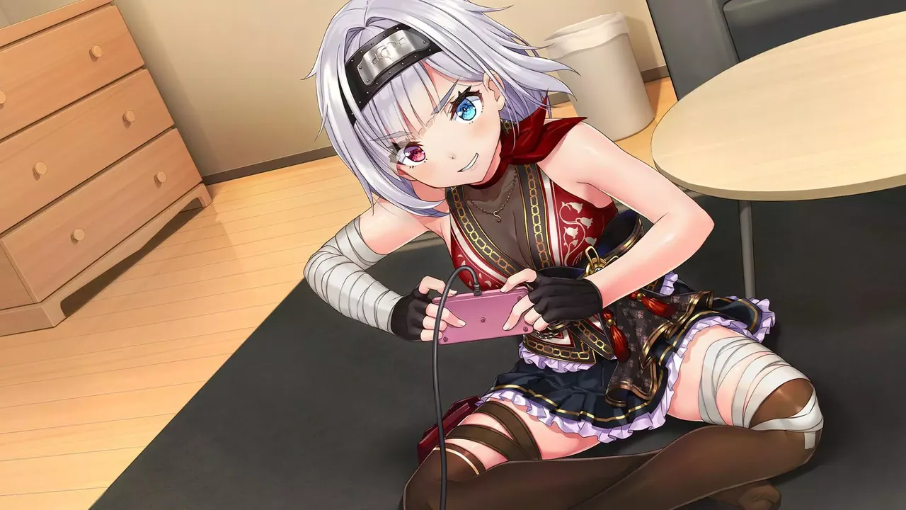 -NinNinDays 2-游戏截图-好玩游戏库