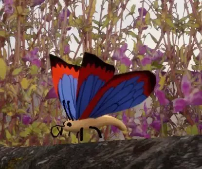 Save the Butterflies