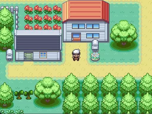 -Pokémon Dark-游戏截图-好玩游戏库