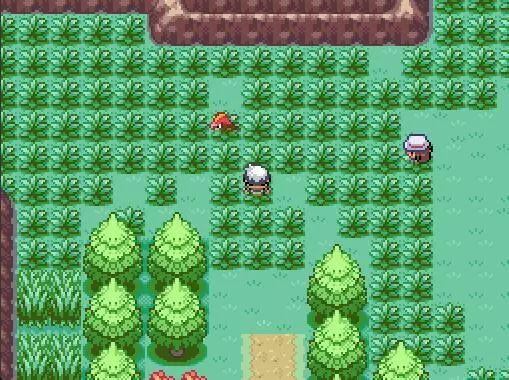 -Pokémon Dark-游戏截图-好玩游戏库