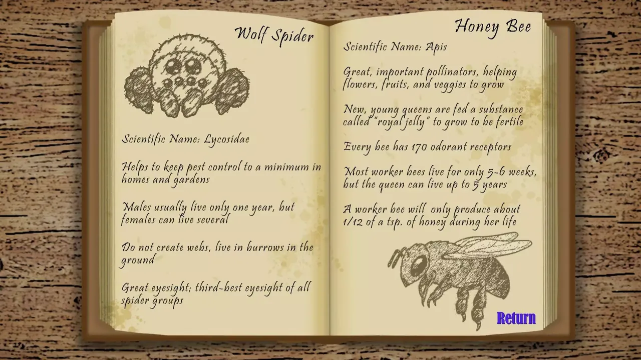 -The Witch's Garden (itch)-游戏截图-好玩游戏库