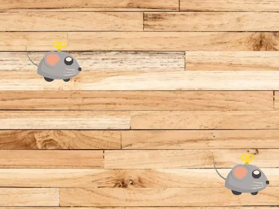 -Mouse for Cats-游戏截图-好玩游戏库