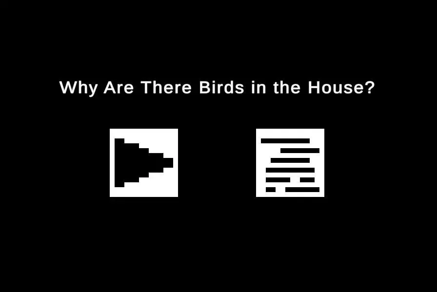 Birds in the House