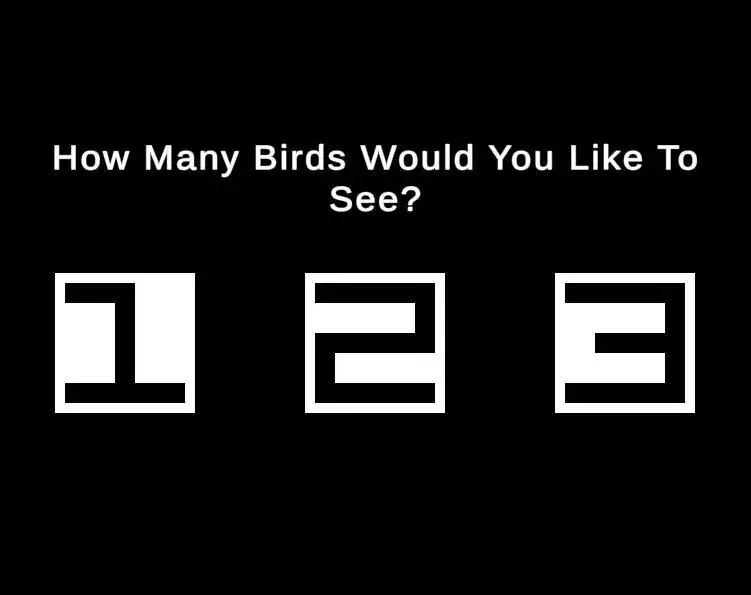 -Birds in the House-游戏截图-好玩游戏库