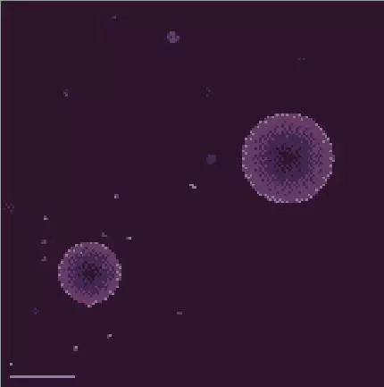 Space delivery (kirinokirino)