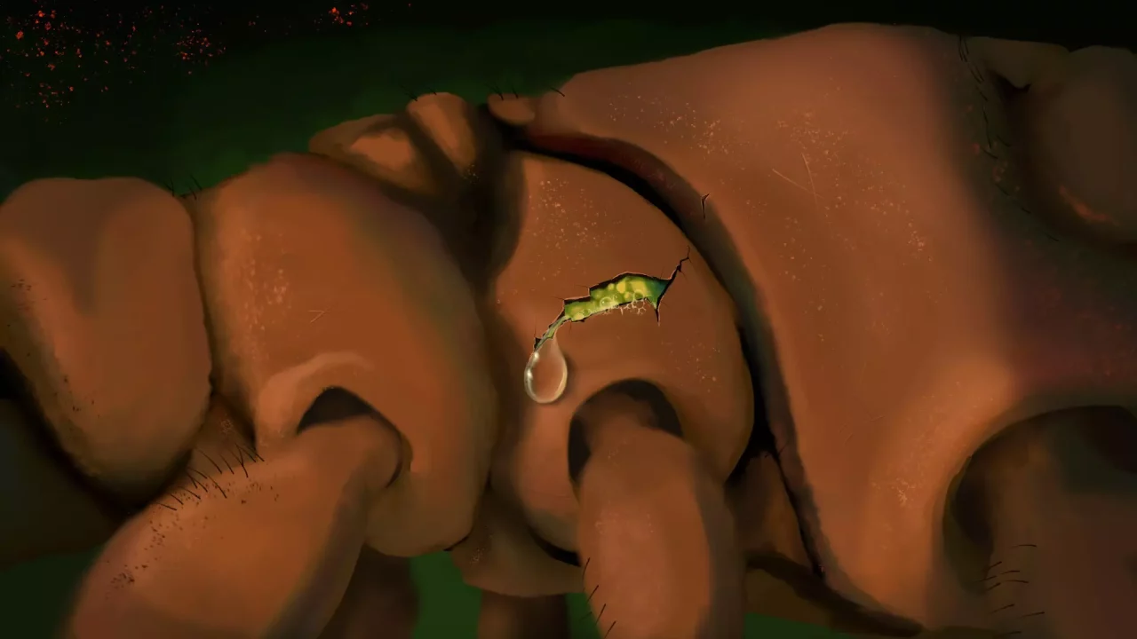 -Queen Of The Hill-游戏截图-好玩游戏库