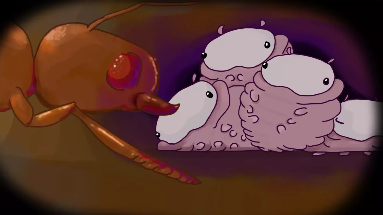 -Queen Of The Hill-游戏截图-好玩游戏库