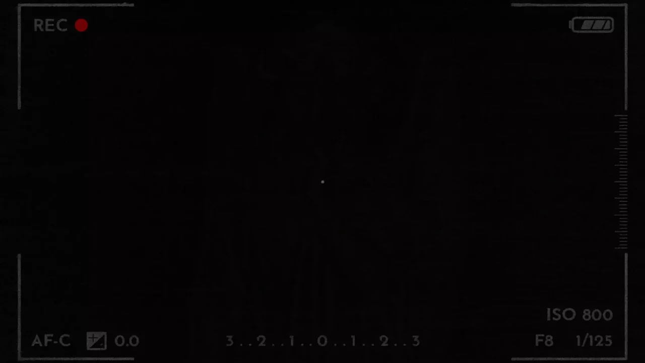 -Paranormal Archives-游戏截图-好玩游戏库