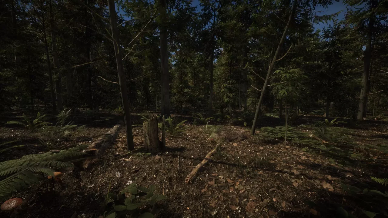 -Forest of Lost Wanderers-游戏截图-好玩游戏库