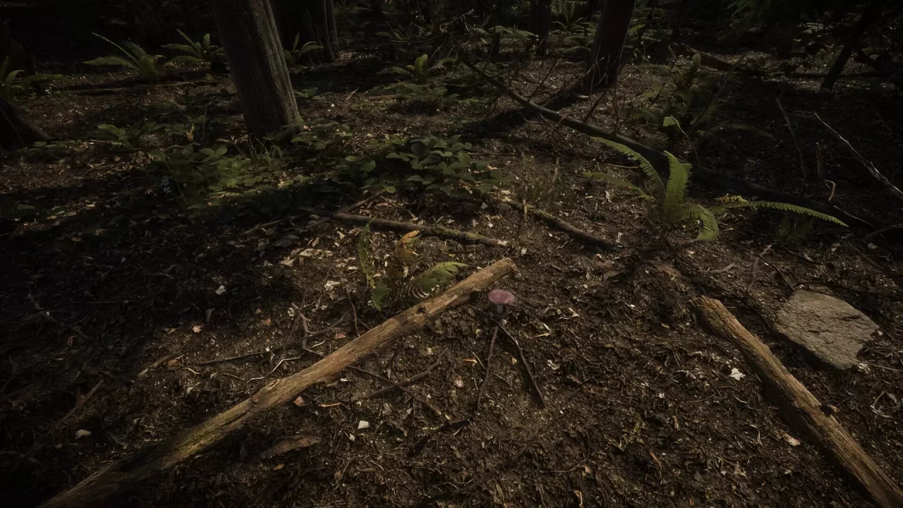 -Forest of Lost Wanderers-游戏截图-好玩游戏库