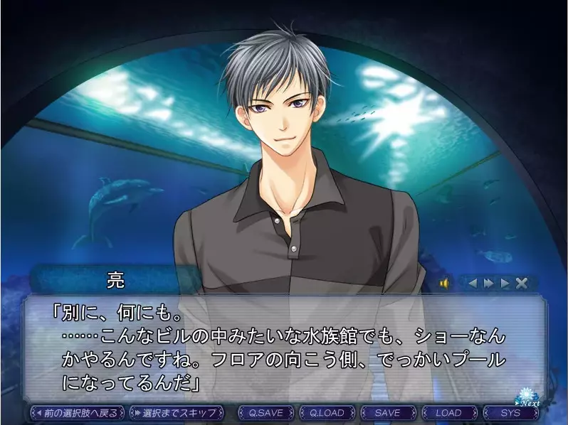 银之冠 碧之泪-Gin no Kanmuri Ao no Namida-游戏截图-好玩游戏库