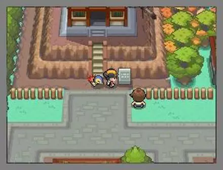 -Pokémon HeartGold, SoulSilver-游戏截图-好玩游戏库