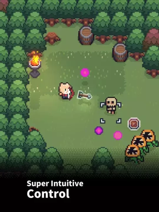 The Way Home: Pixel Roguelike