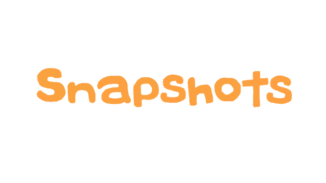 收纳达人 | Snapshots