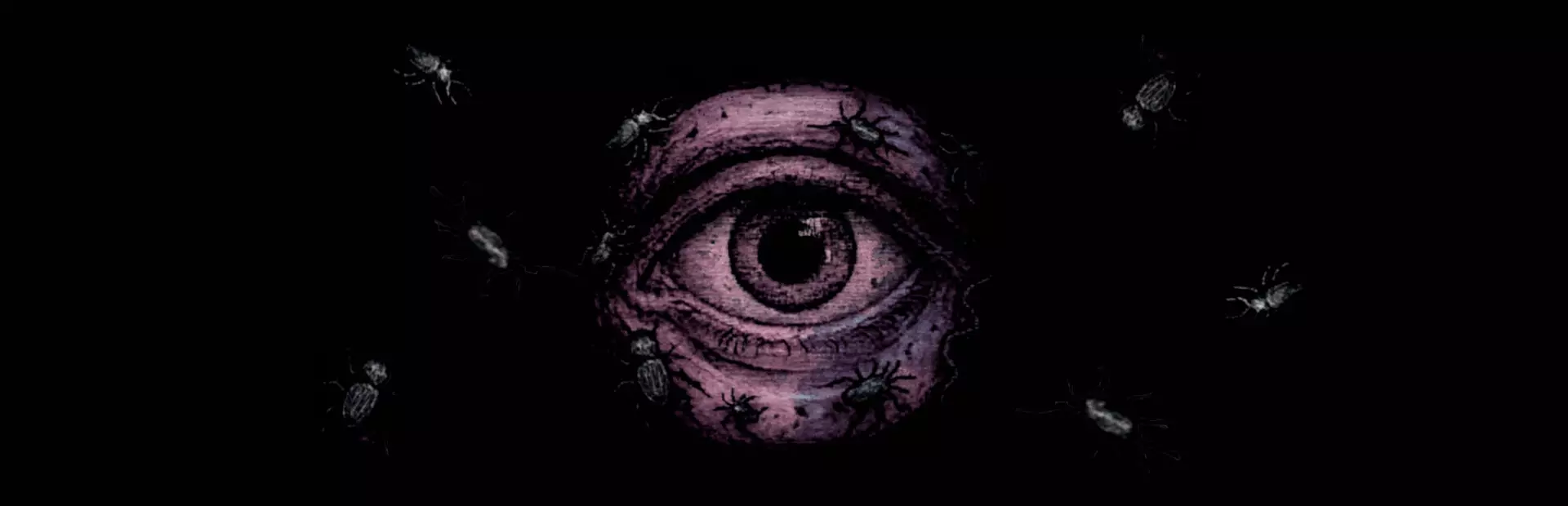 凝视之林：虱子