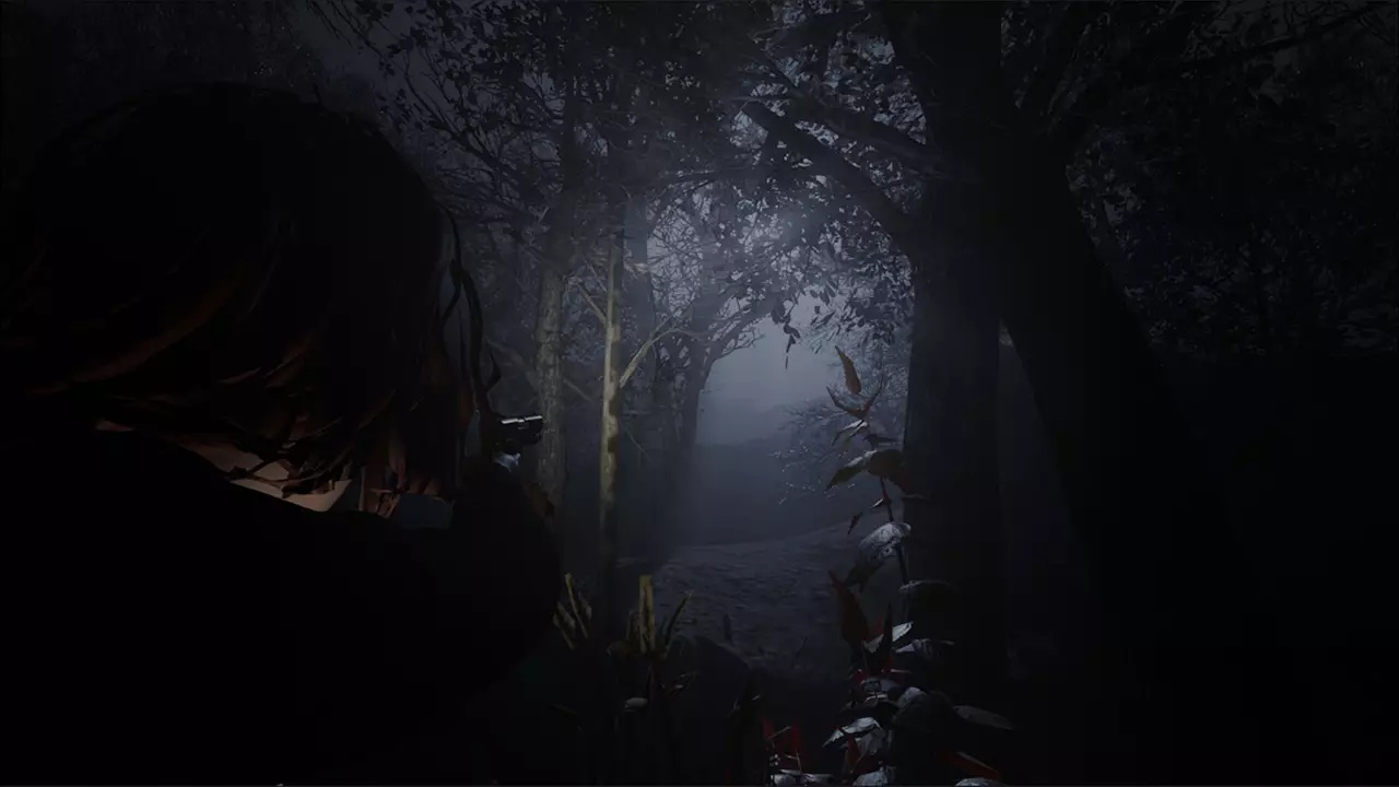 黎明教派-Cult of Dawn-游戏截图-好玩游戏库