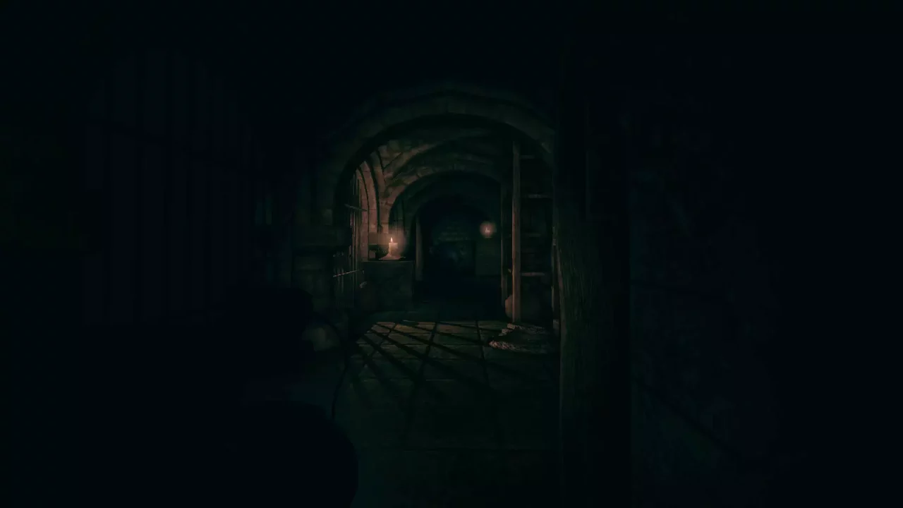 -Amnesia: Collection-游戏截图-好玩游戏库