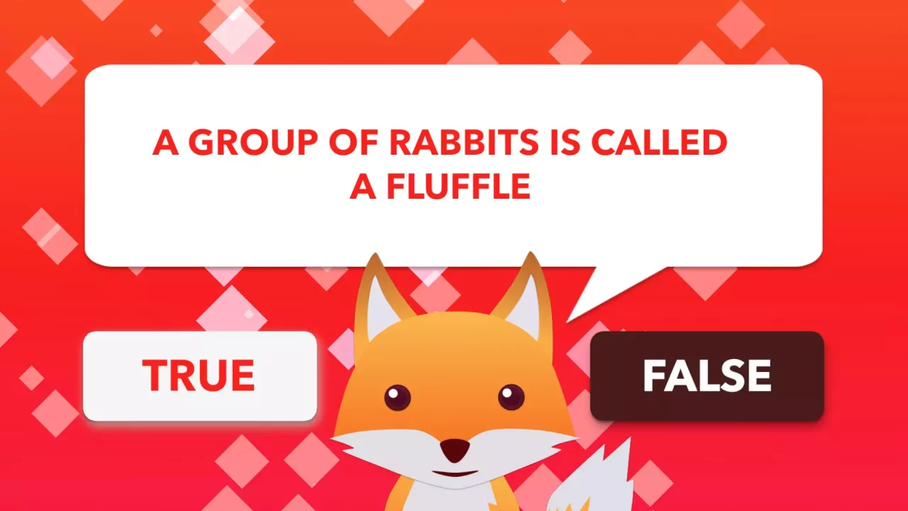 True or False Universe