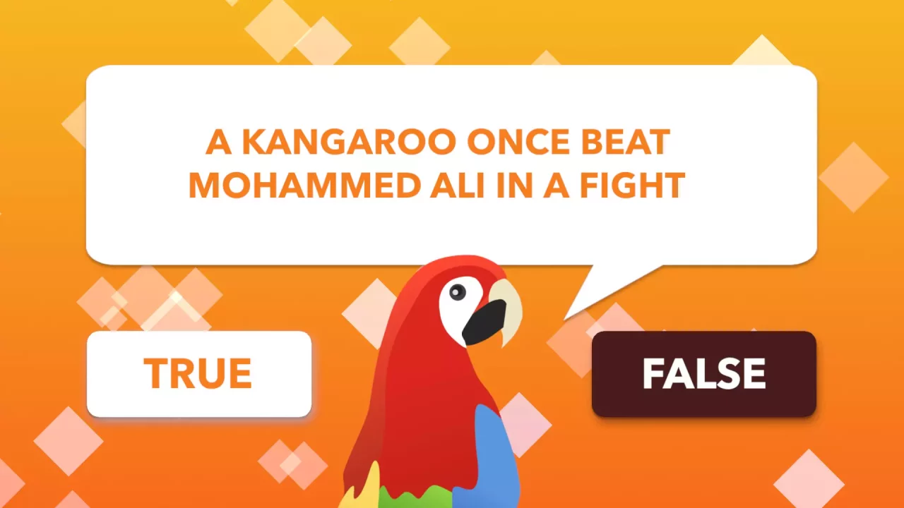 -True or False Universe-游戏截图-好玩游戏库