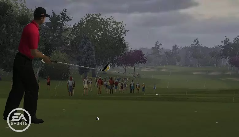 -Tiger Woods PGA Tour 10-游戏截图-好玩游戏库