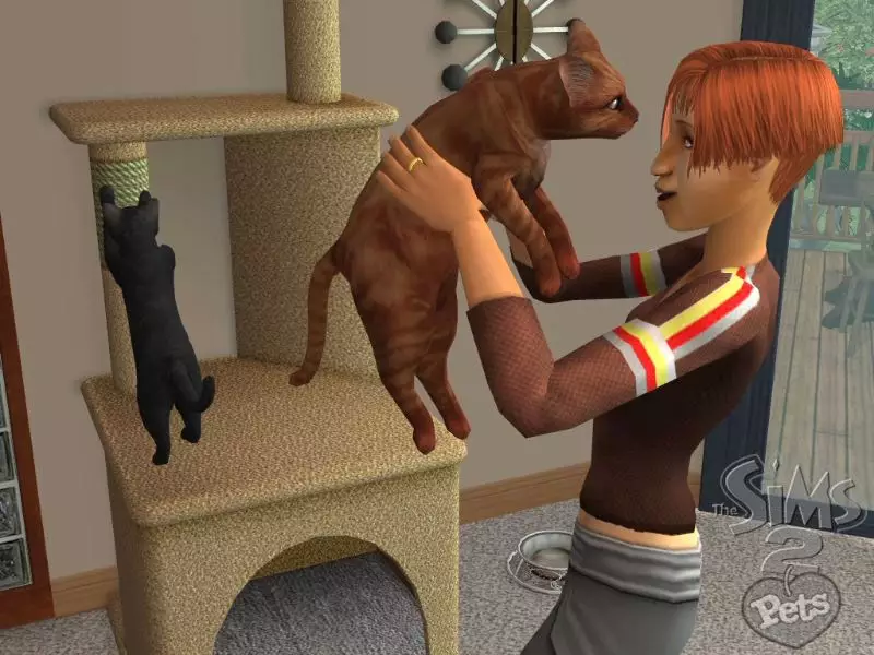 -The Sims 2: Pets-游戏截图-好玩游戏库