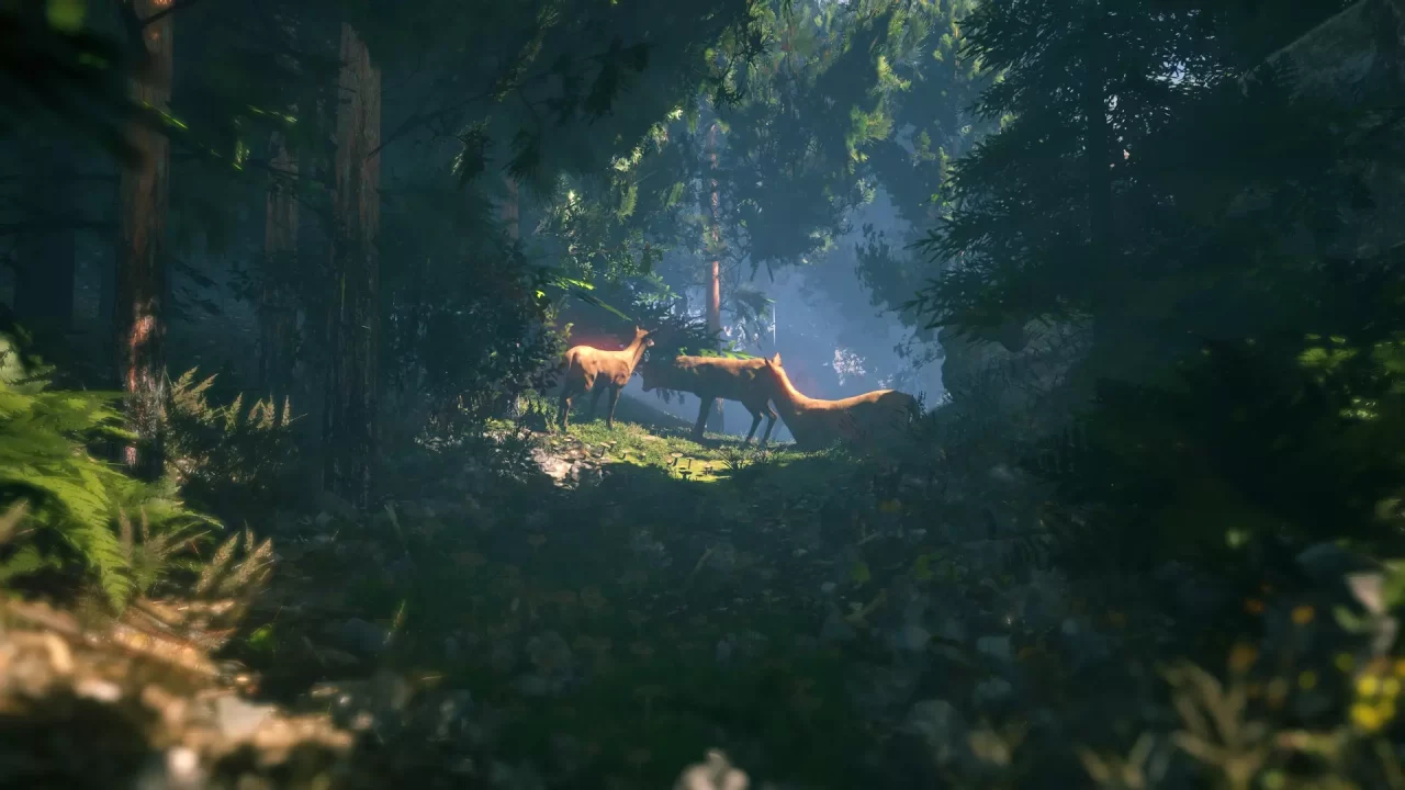 -FlowScape-游戏截图-好玩游戏库