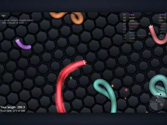 -slither.io-游戏截图-好玩游戏库
