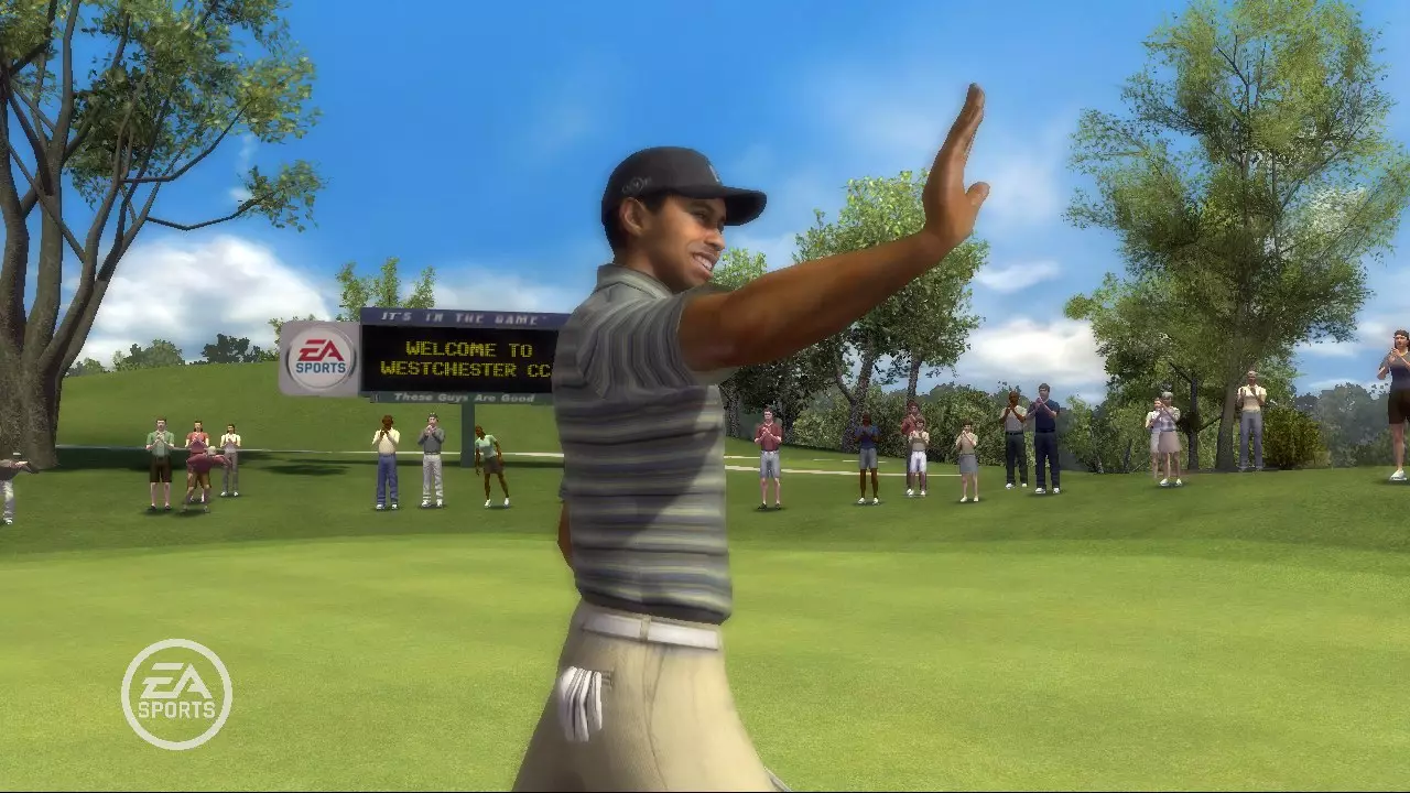 Tiger Woods PGA Tour 08