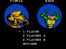 -Battletoads in Battlemaniacs-游戏截图-好玩游戏库
