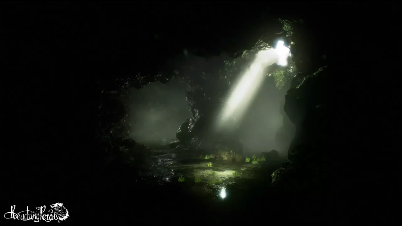 -Reaching for Petals: VR Edition-游戏截图-好玩游戏库