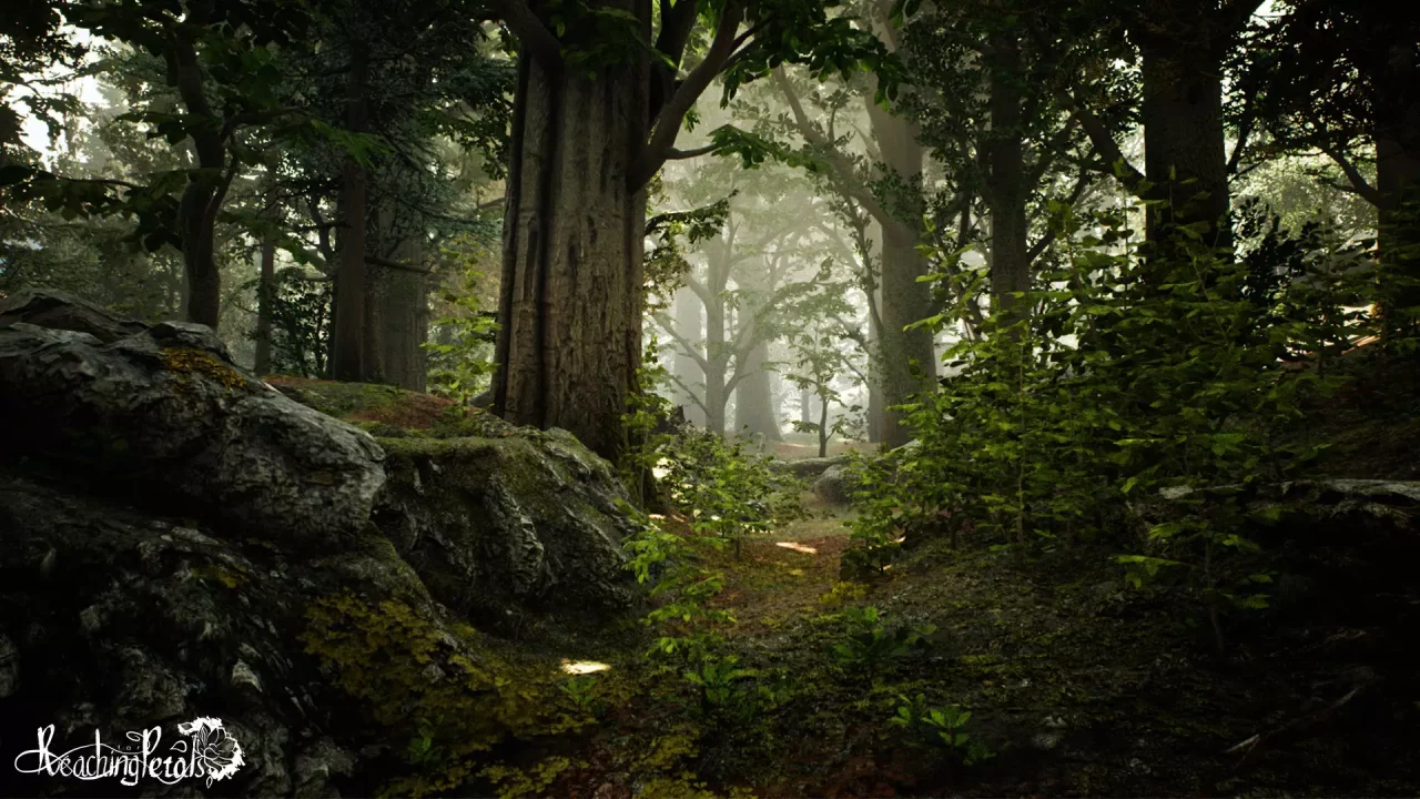 -Reaching for Petals: VR Edition-游戏截图-好玩游戏库