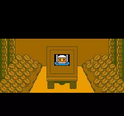 -Bomberman II-游戏截图-好玩游戏库