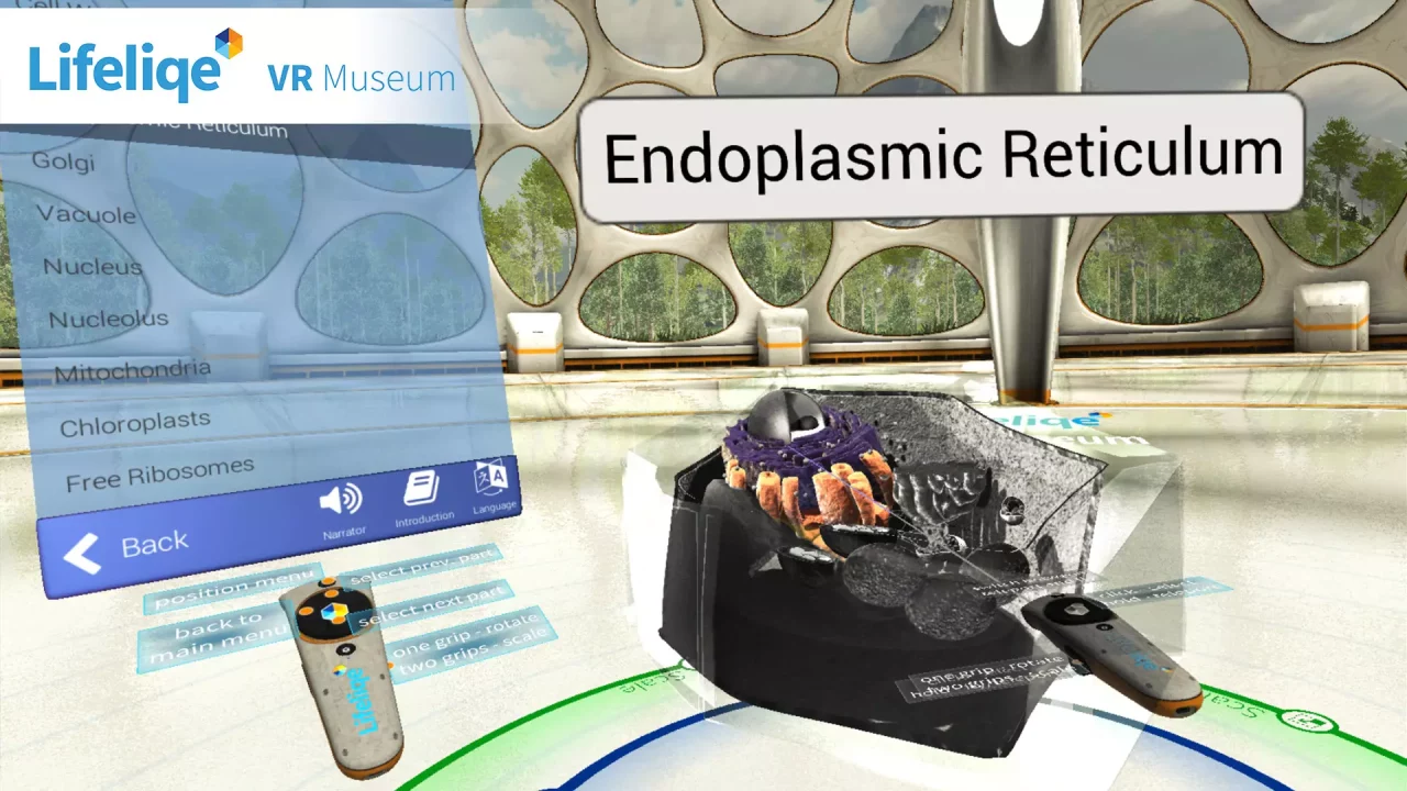 -Lifeliqe VR Museum-游戏截图-好玩游戏库