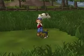 -Harvest Moon: Save the Homeland-游戏截图-好玩游戏库