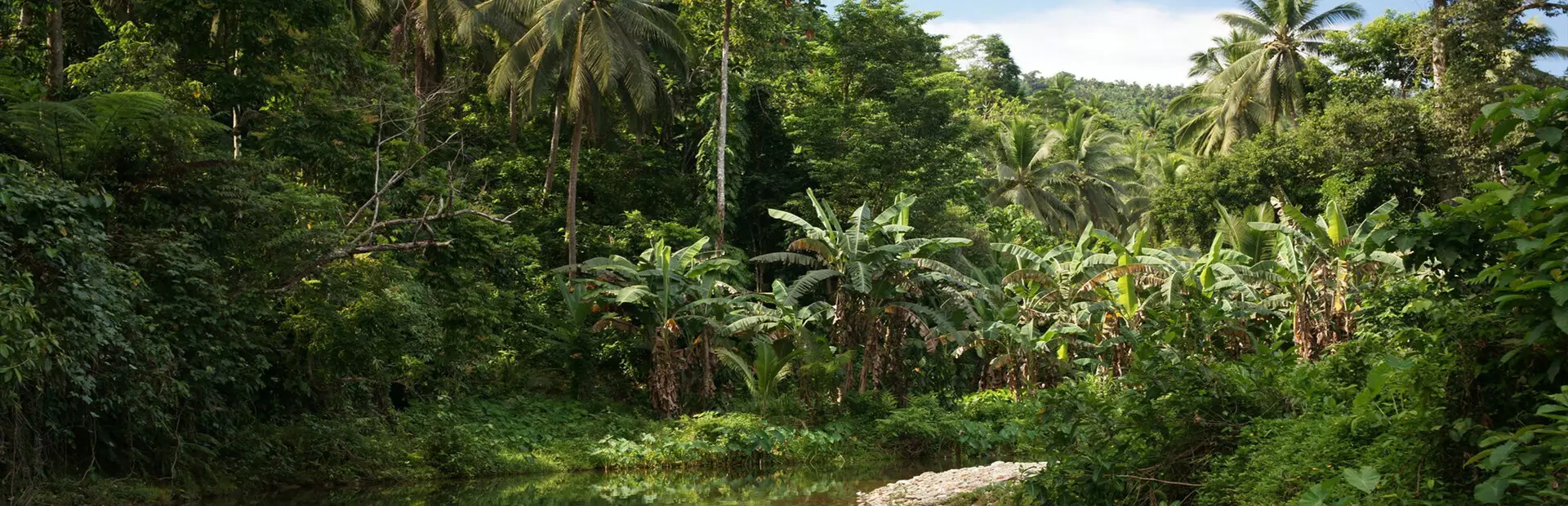 幸运小子：超级侵袭