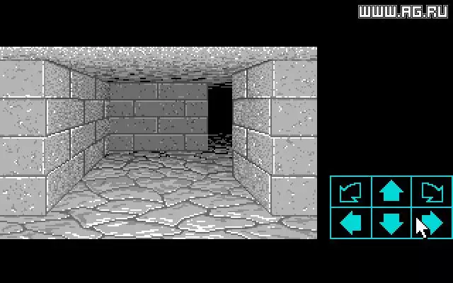 -Dungeon Master-游戏截图-好玩游戏库