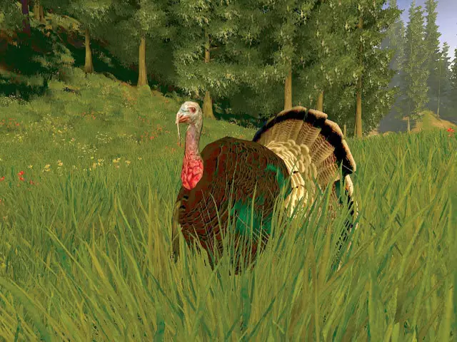 -Cabela's Big Game Hunter Trophy Bucks-游戏截图-好玩游戏库