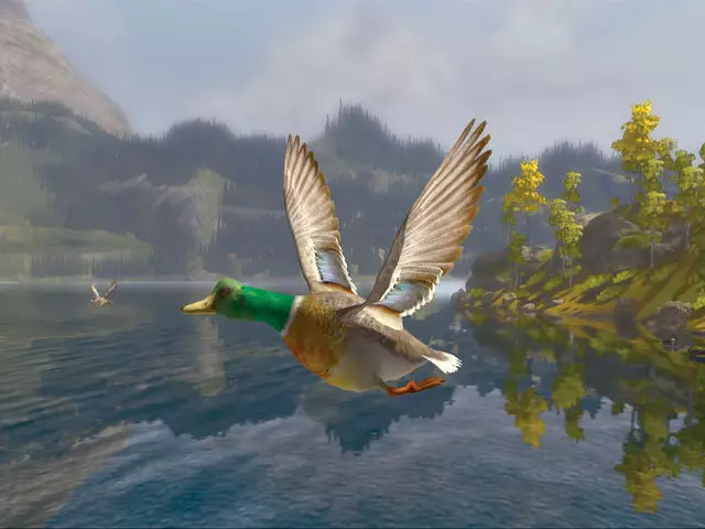 -Cabela's Big Game Hunter Trophy Bucks-游戏截图-好玩游戏库