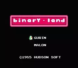Binary Land
